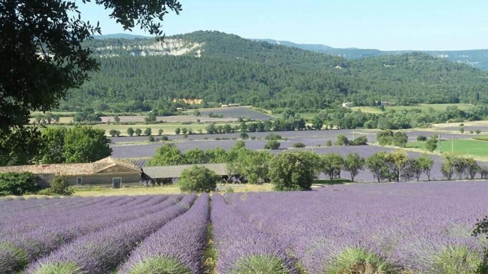 Chambre Privee Independante Au Coeur Du Luberon 圣萨蒂南艾普特 外观 照片
